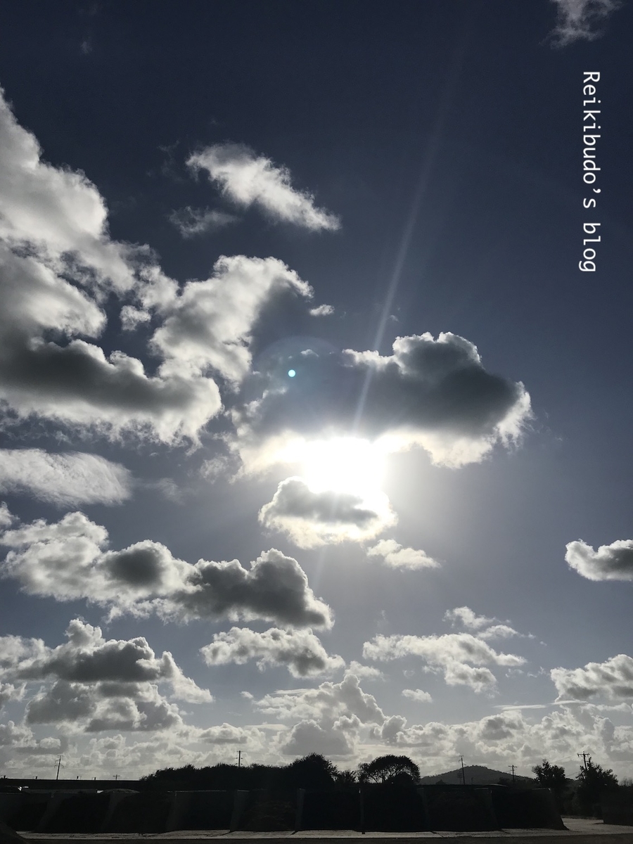 f:id:Reikibudo:20190418223513j:plain f:id:Reikibudo:20190418223513j:plain