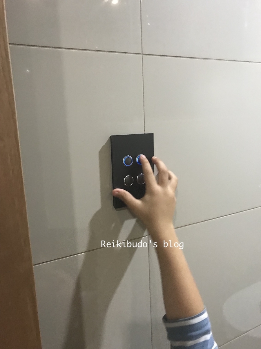 f:id:Reikibudo:20190418223540j:plain f:id:Reikibudo:20190418223540j:plain