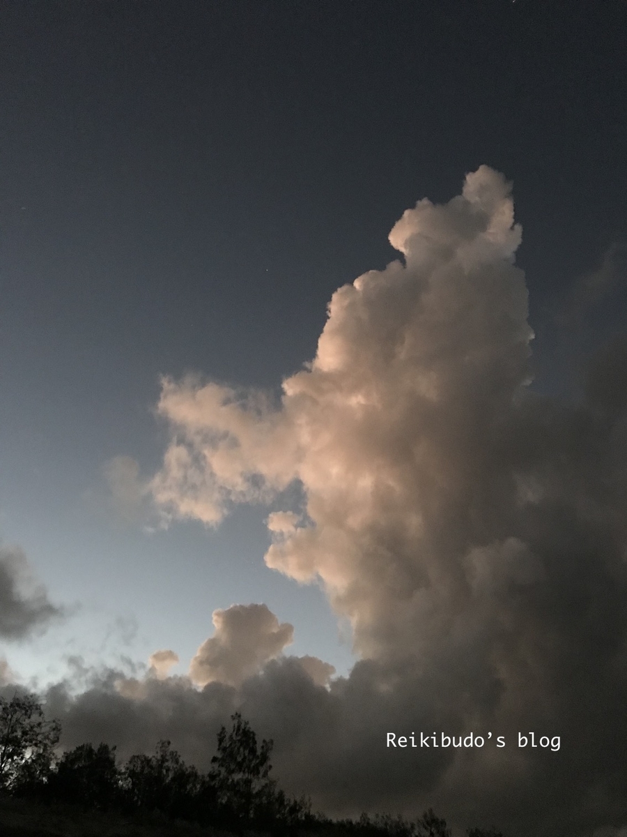 f:id:Reikibudo:20190418223600j:plain f:id:Reikibudo:20190418223600j:plain