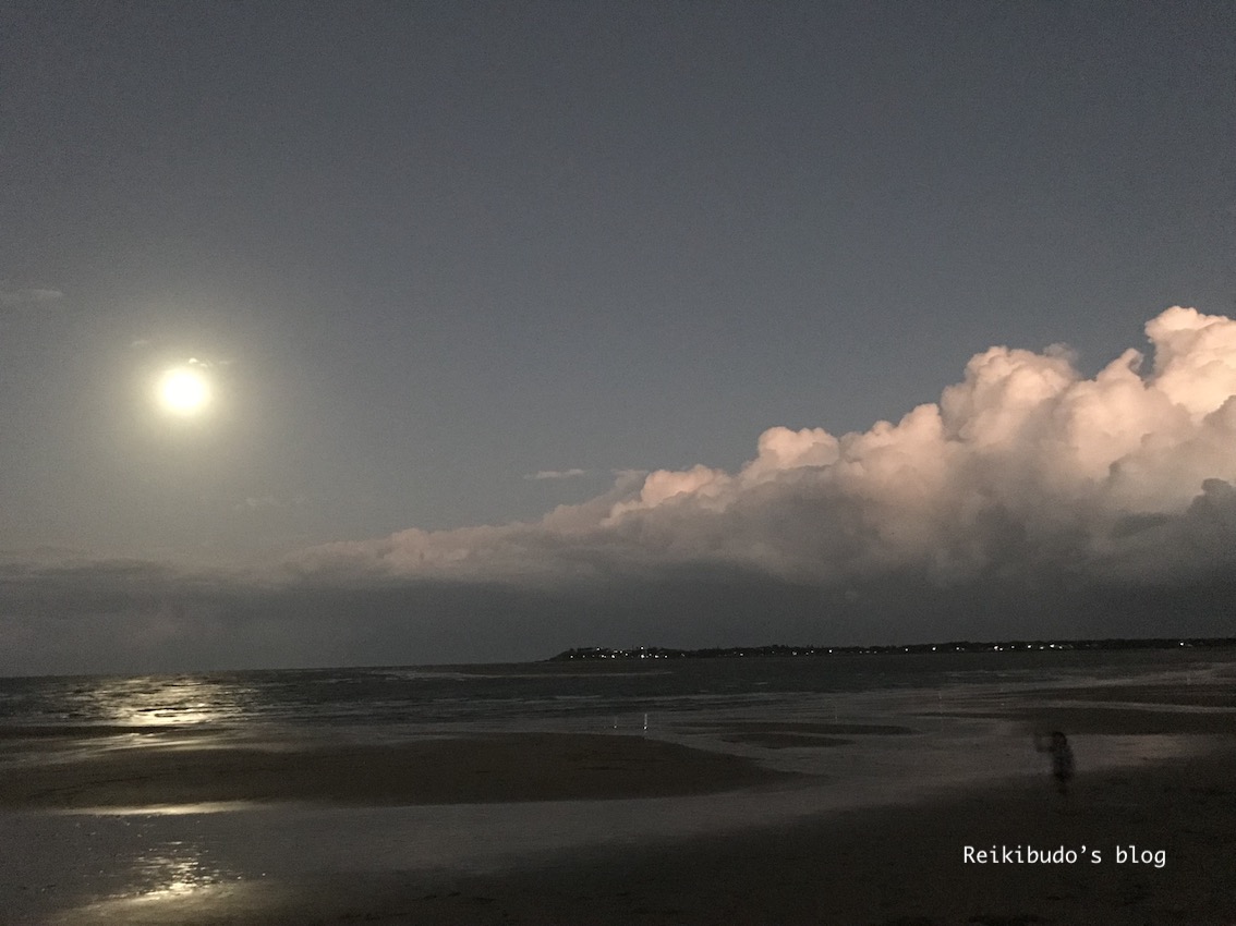 f:id:Reikibudo:20190418223604j:plain f:id:Reikibudo:20190418223604j:plain