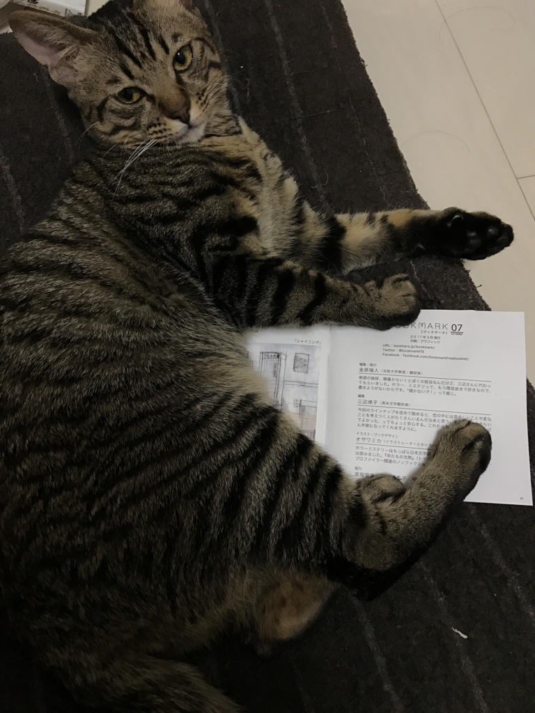 f:id:Reiko_NB:20170326181445j:plain