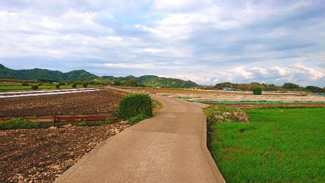f:id:Reikua:20190507221554j:image