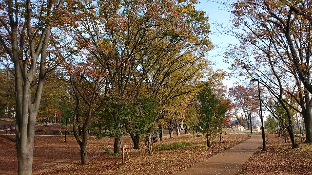 f:id:Reikua:20191125230756j:image