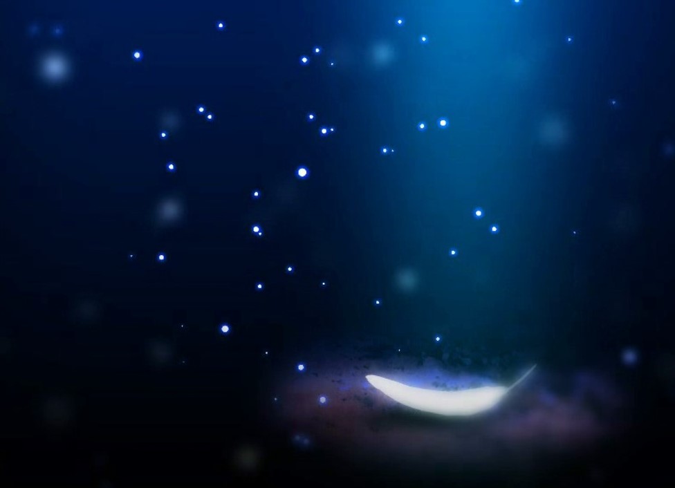 f:id:Reimei:20211121143514j:plain