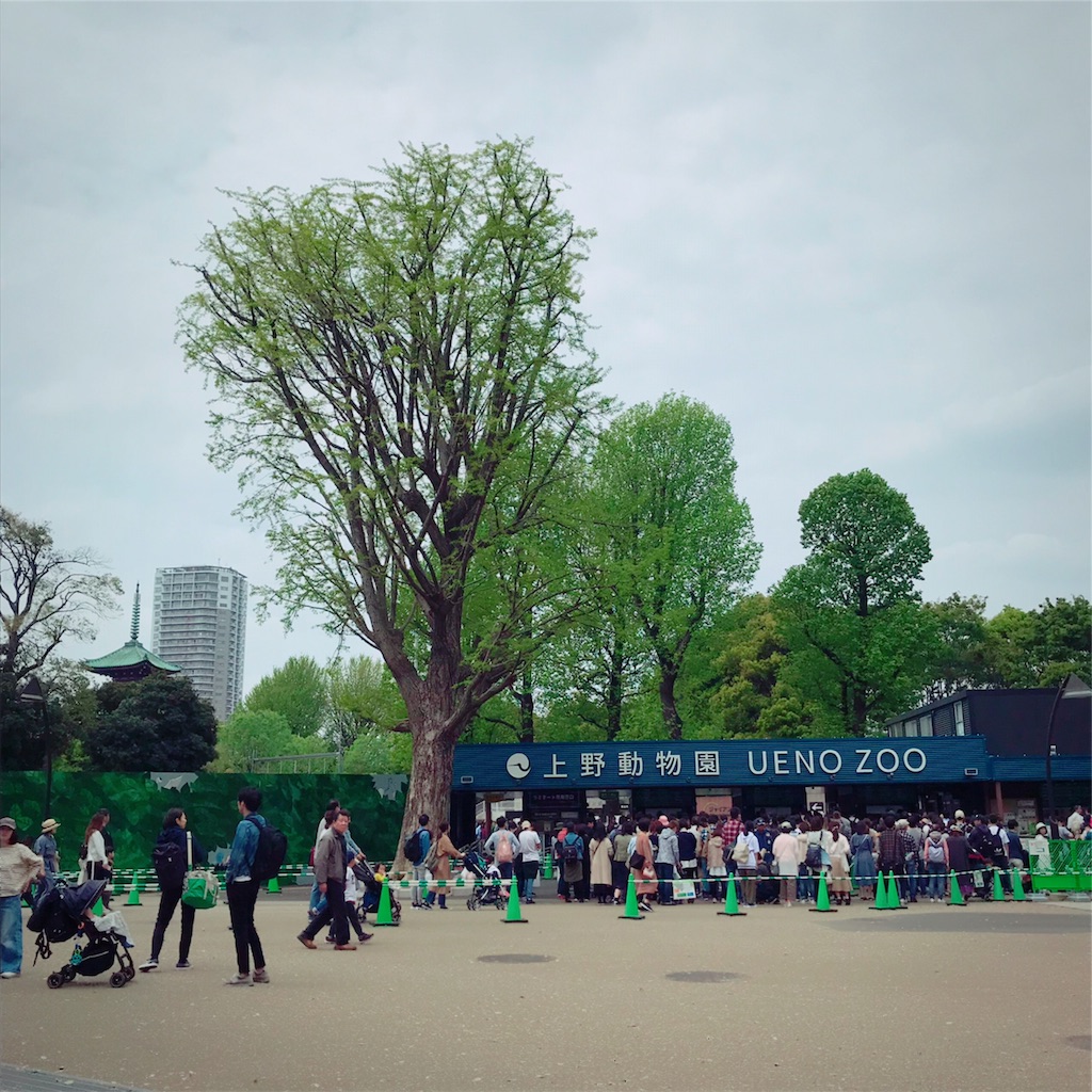 f:id:ReinaHanayume:20190422085039j:image f:id:ReinaHanayume:20190422085039j:image