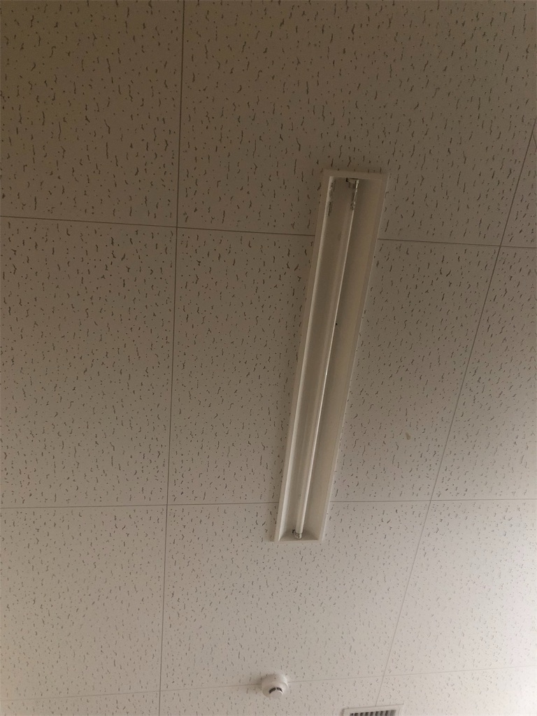 f:id:Reinolzu:20190216082432j:image f:id:Reinolzu:20190216082432j:image