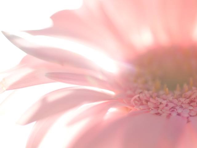 f:id:RelaxationSpaceHarmony:20191229074952j:image