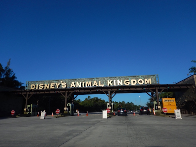 アメリカ横断9日目①〜ディズニー・アニマルキングダム前編（WDW