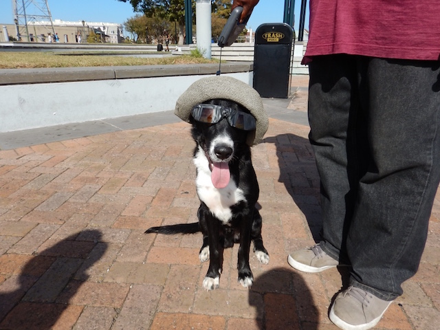 f:id:Relie:20180219172026j:plain f:id:Relie:20180219172026j:plain