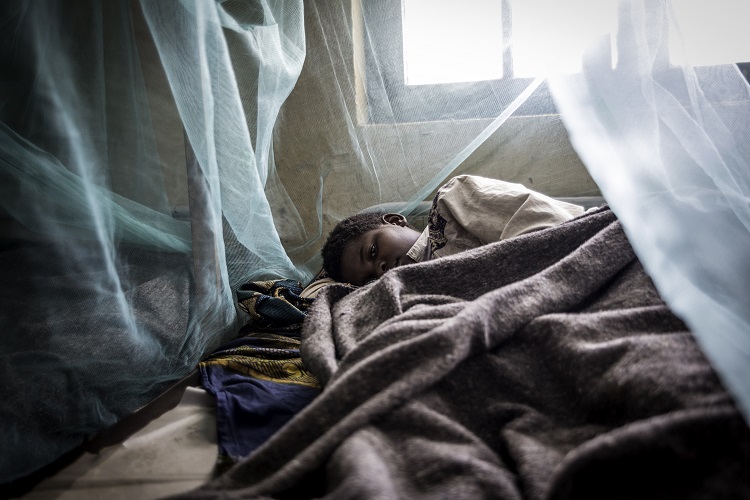 Best Methods To Avoid Mosquitoes Bites Long Lasting Insecticidal Nets