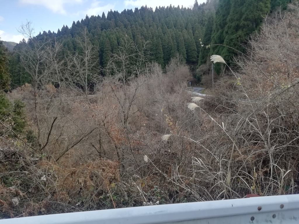 f:id:Remi_ikaruga:20181228235718j:plain