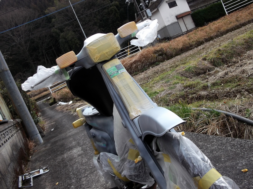 f:id:Remi_ikaruga:20190116140427j:plain