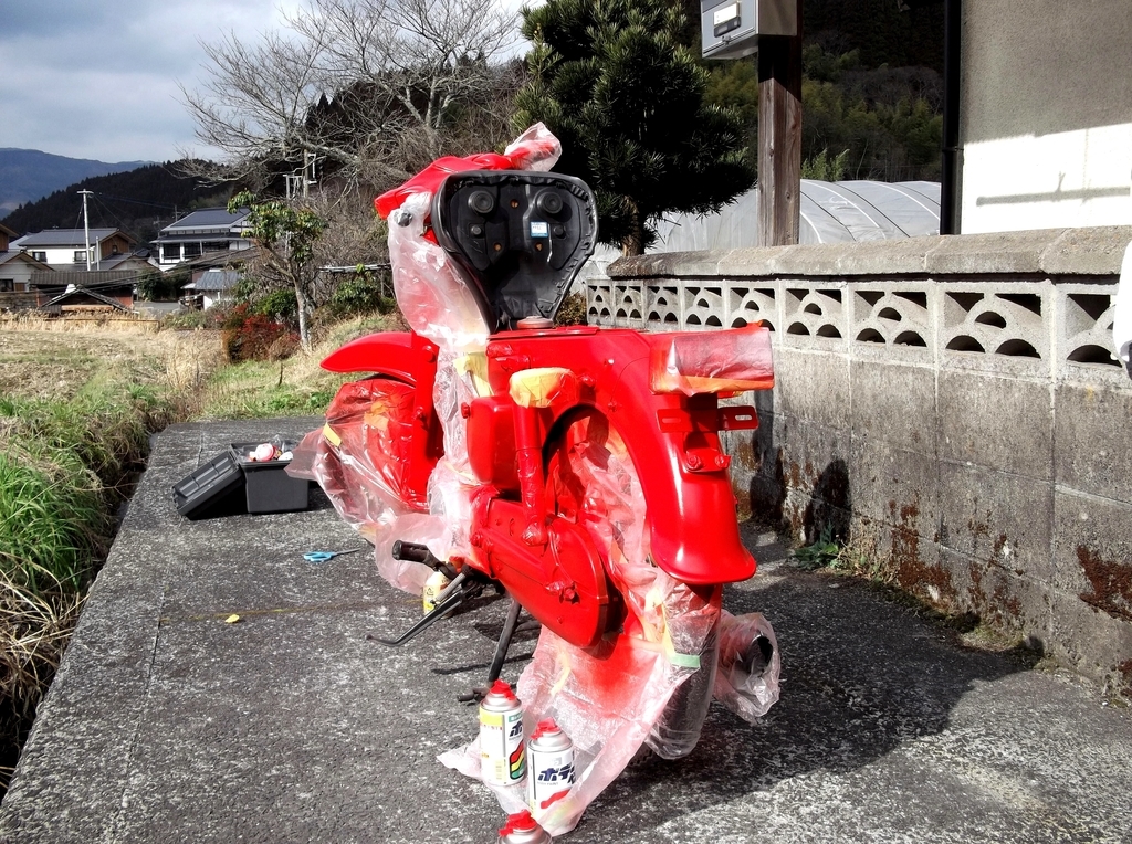 f:id:Remi_ikaruga:20190116140909j:plain