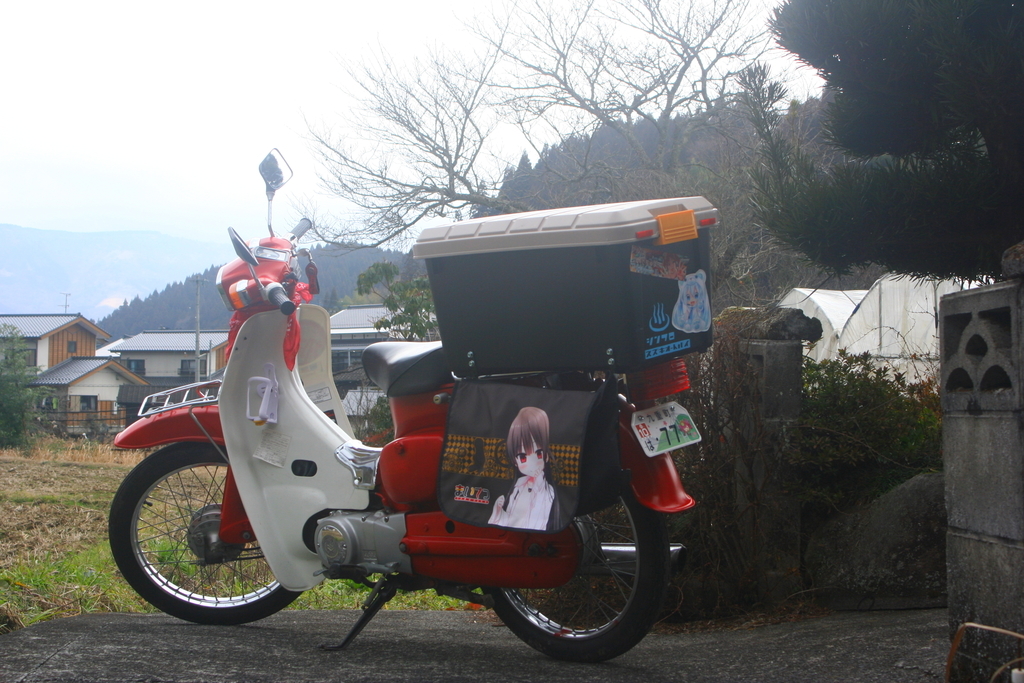 f:id:Remi_ikaruga:20190116142058j:plain