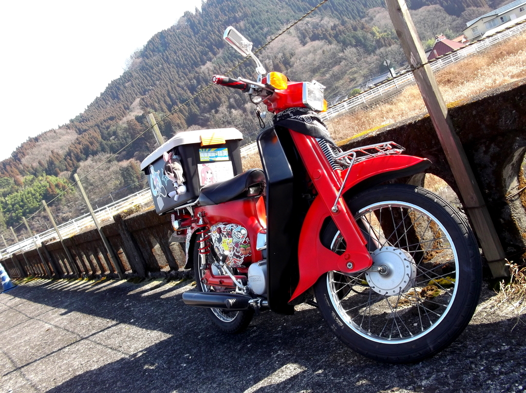 f:id:Remi_ikaruga:20190130233122j:plain