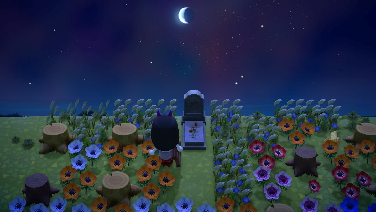 f:id:Remmie:20201017205928j:plain