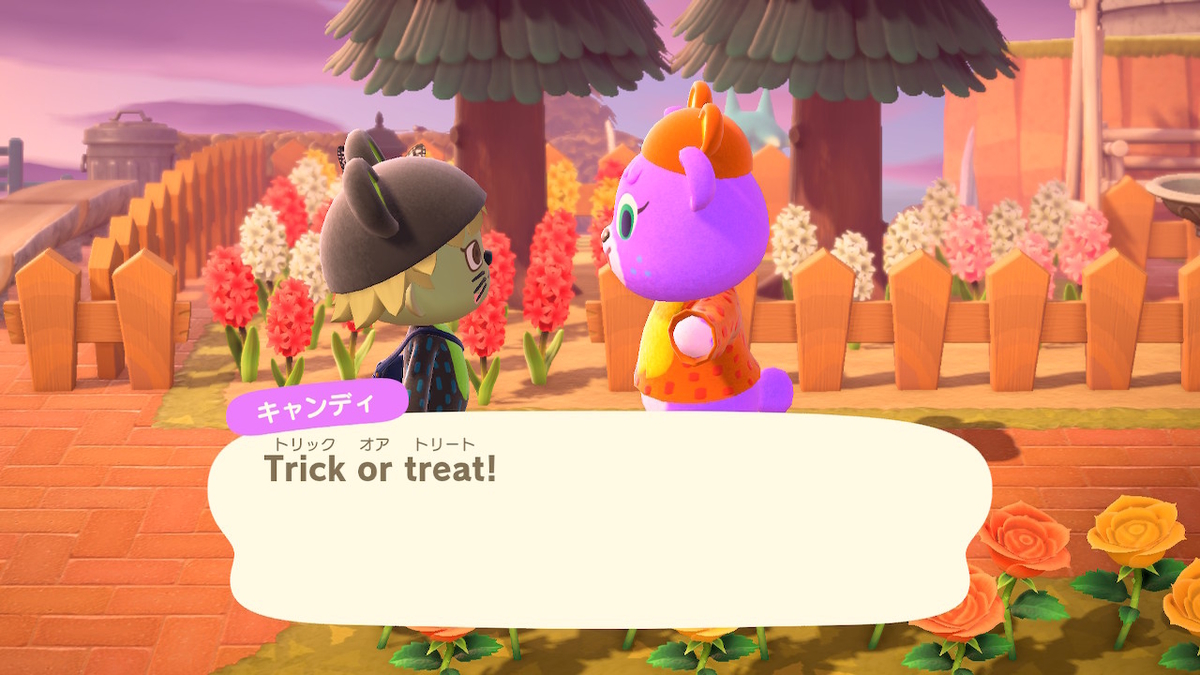 f:id:Remmie:20201101151604j:plain