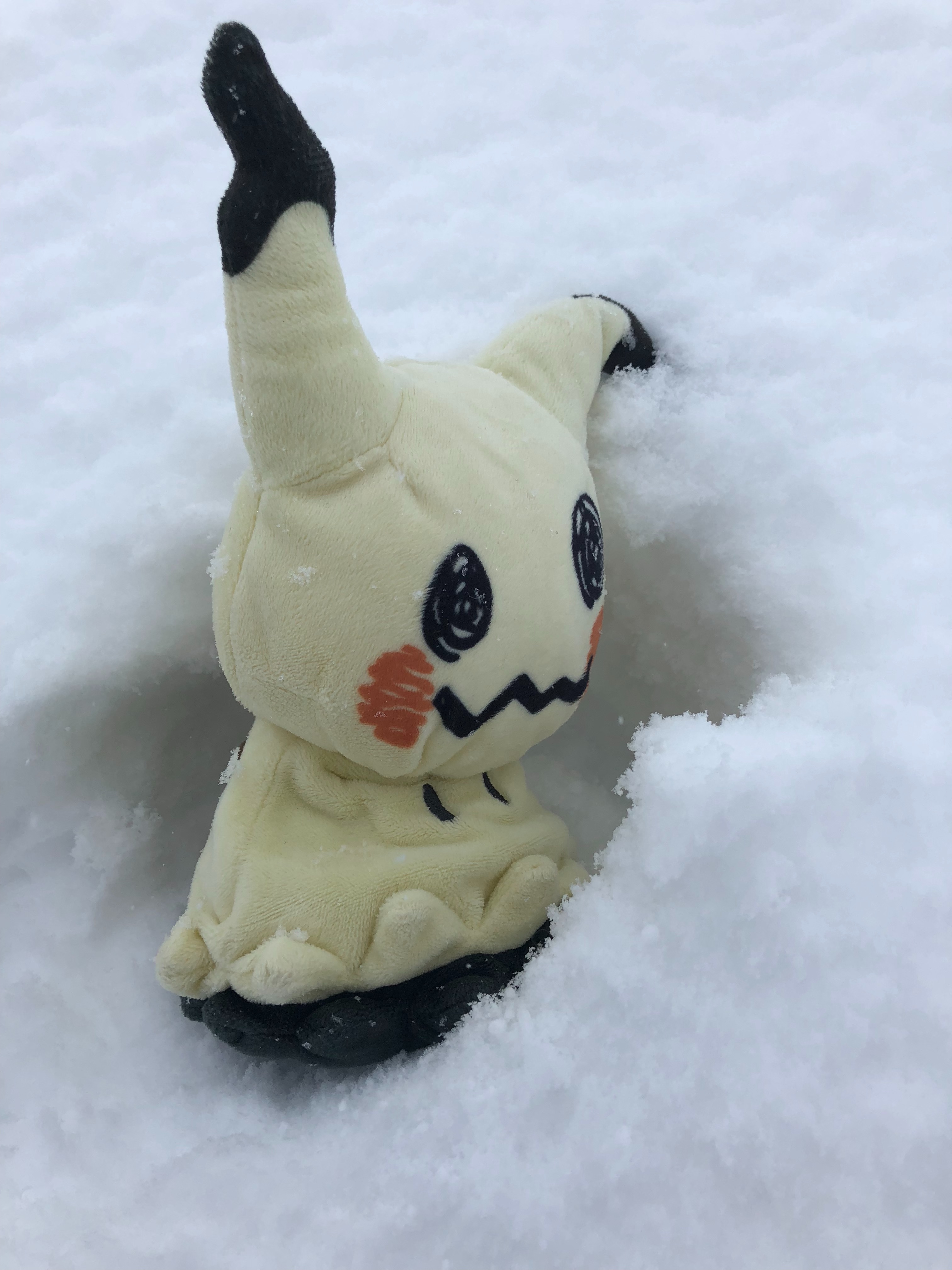 f:id:RenaPokemon:20180516125600j:image
