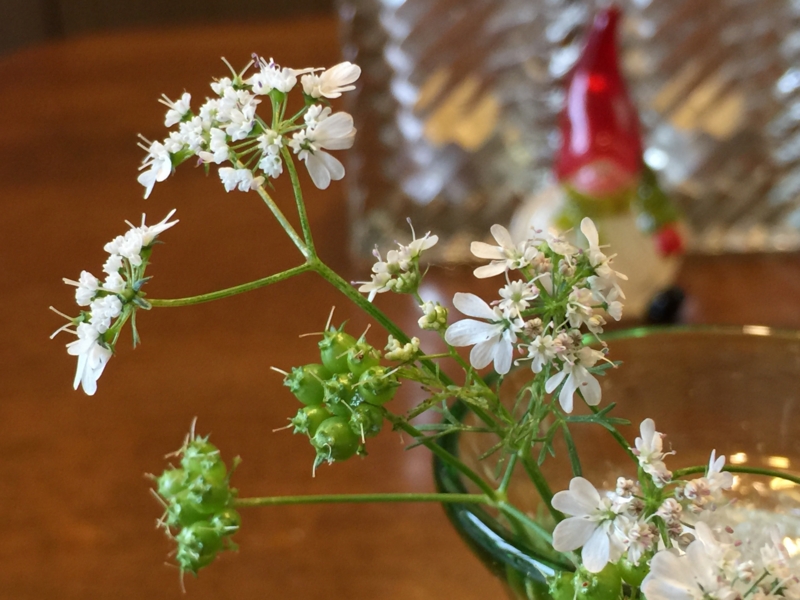 f:id:Repas:20151126144705j:image f:id:Repas:20151126144705j:image