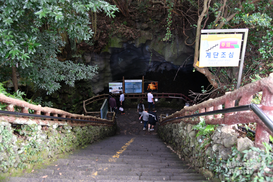 f:id:Reppa:20201122155058j:plain