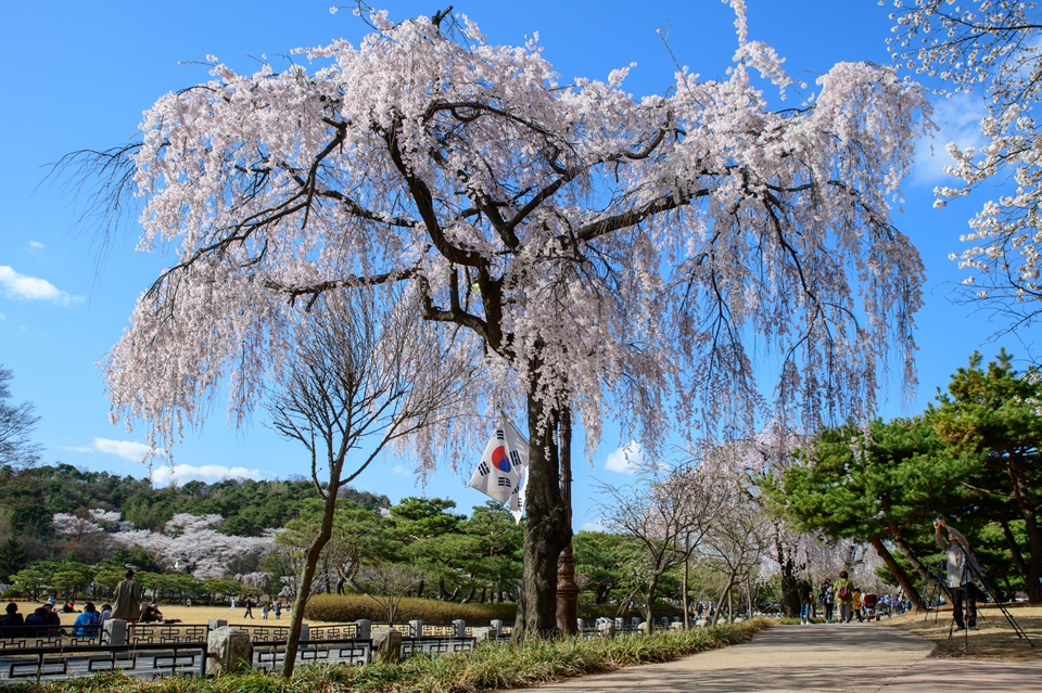 f:id:Reppa:20210410124833j:plain