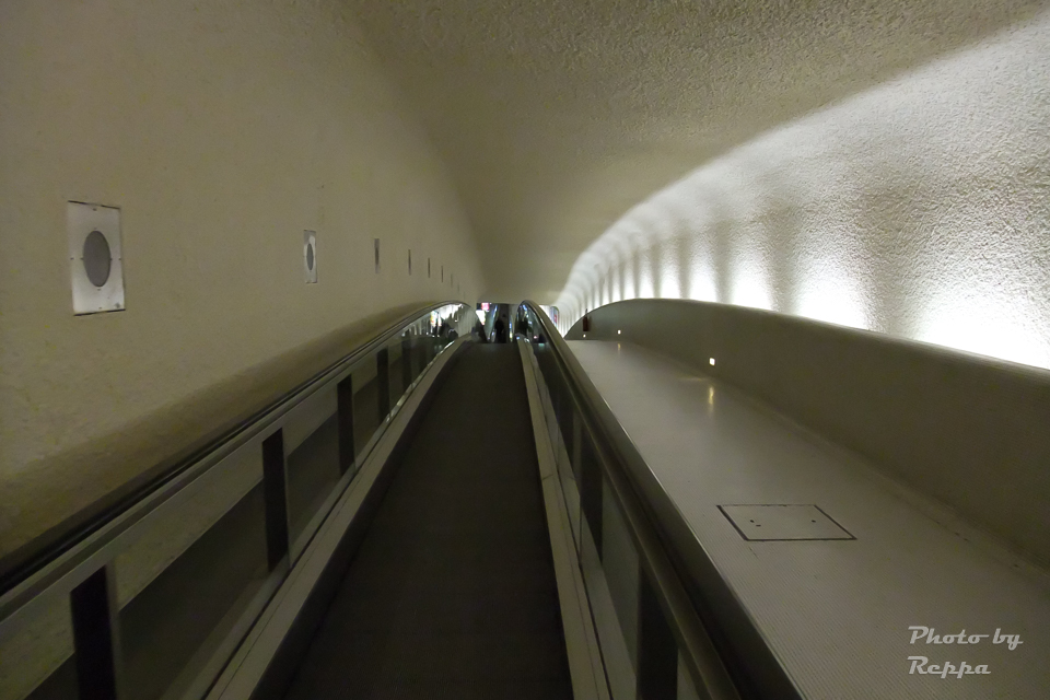 f:id:Reppa:20210731174616j:plain