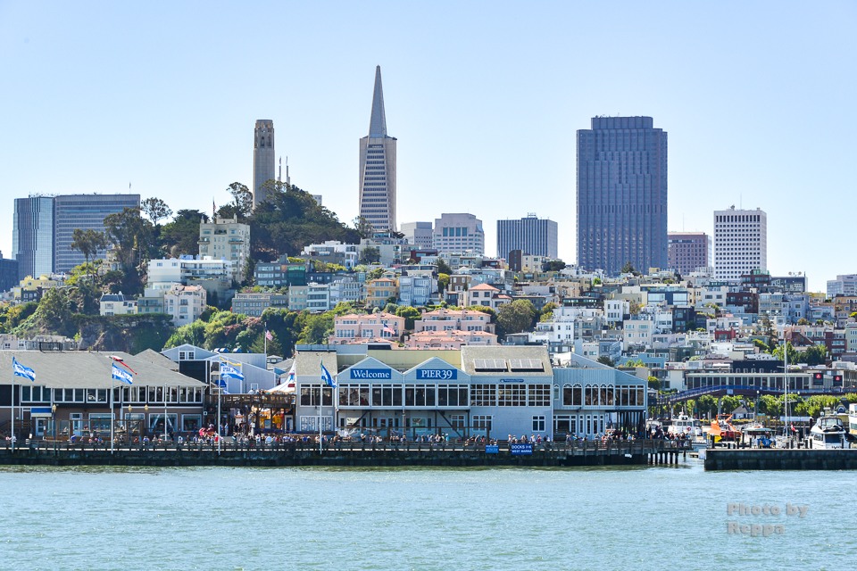 f:id:Reppa:20210808164628j:plain