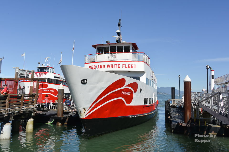 f:id:Reppa:20210808164631j:plain