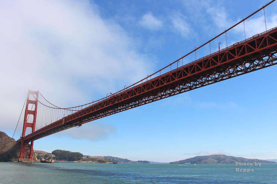 f:id:Reppa:20210808164651j:plain