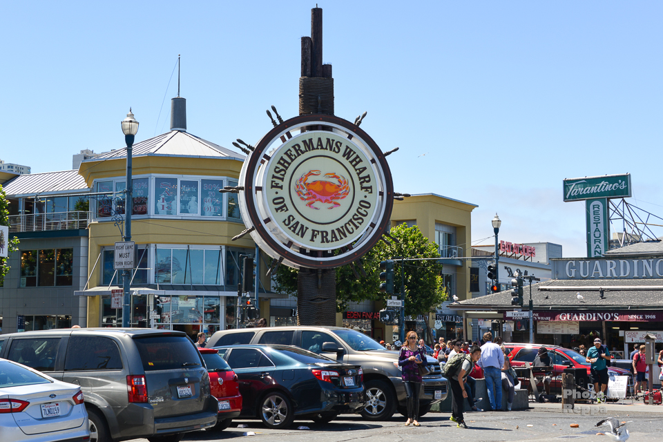 f:id:Reppa:20210808182340j:plain