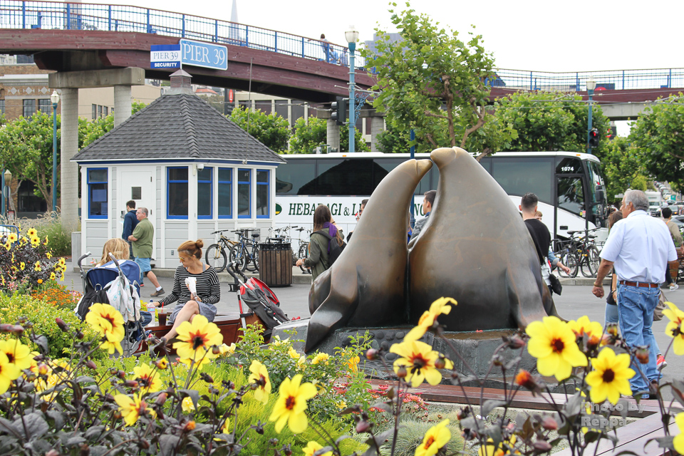 f:id:Reppa:20210808182347j:plain