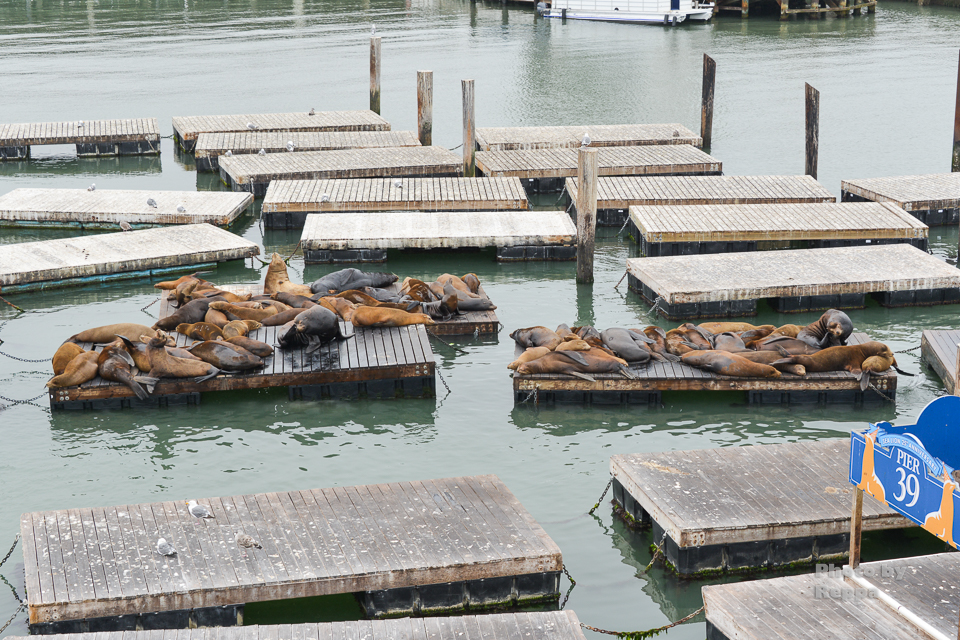 f:id:Reppa:20210808182355j:plain