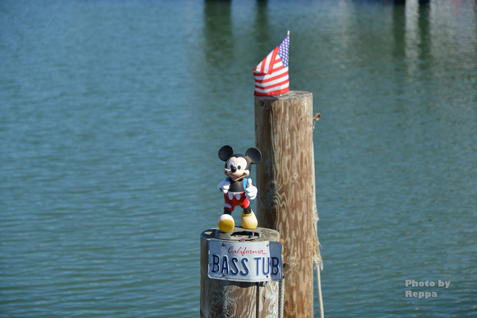 f:id:Reppa:20210808182439j:plain