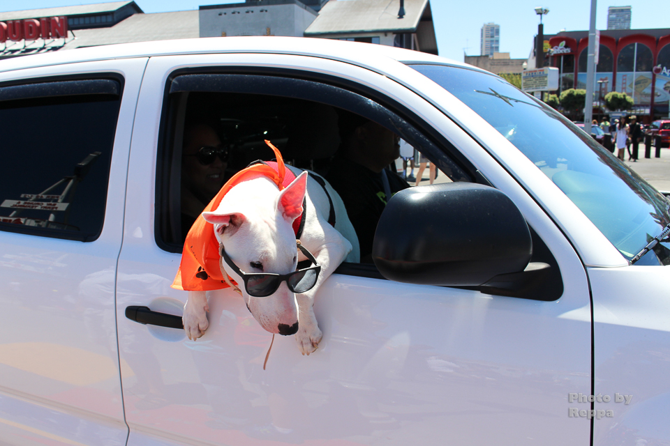 f:id:Reppa:20210808182451j:plain