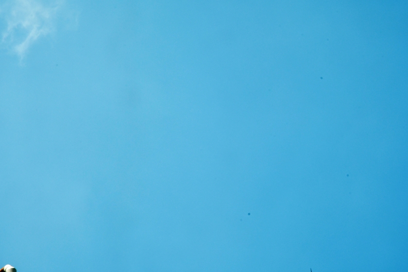 f:id:Reppa:20220107120823j:plain