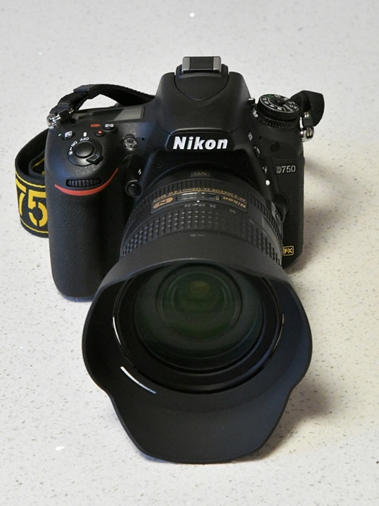 f:id:Reppa:20220107131457j:plain