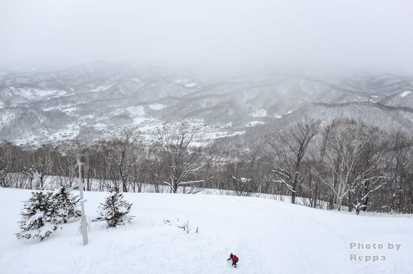 f:id:Reppa:20220111141221j:plain