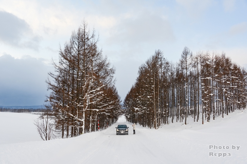 f:id:Reppa:20220113133612j:plain