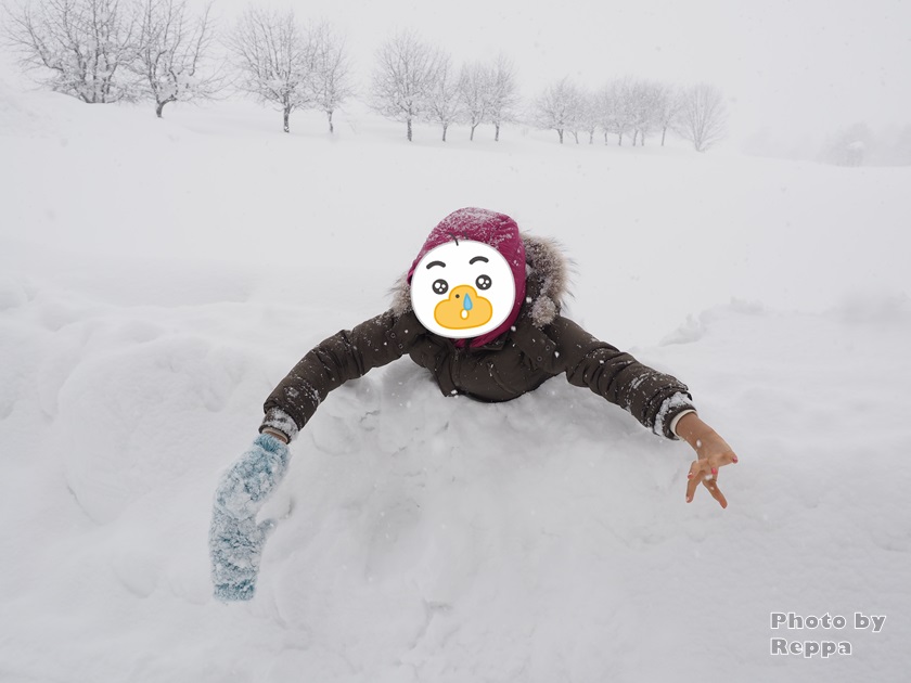 f:id:Reppa:20220113134731j:plain