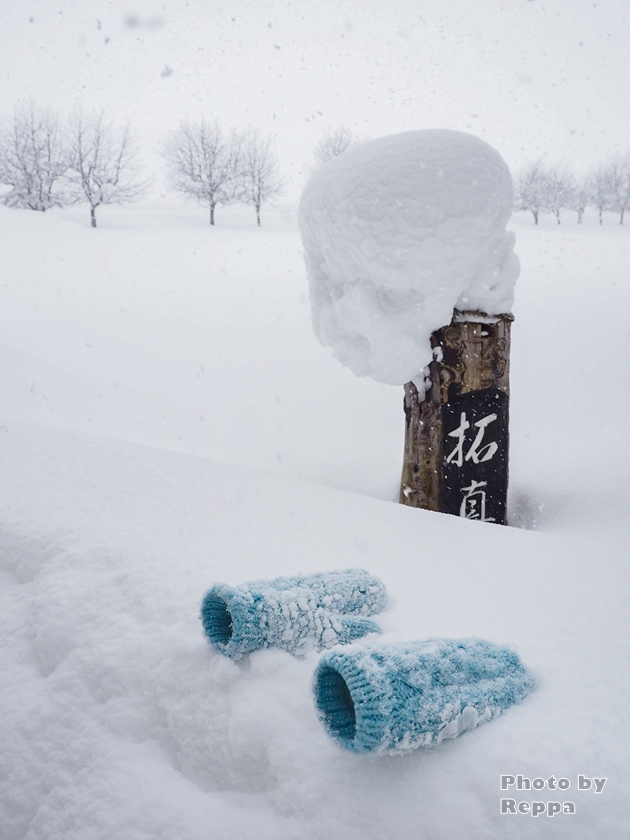 f:id:Reppa:20220113134841j:plain