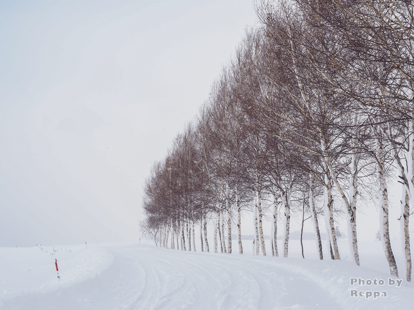 f:id:Reppa:20220113145121j:plain