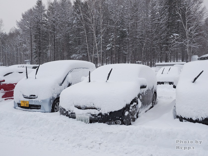 f:id:Reppa:20220113150607j:plain