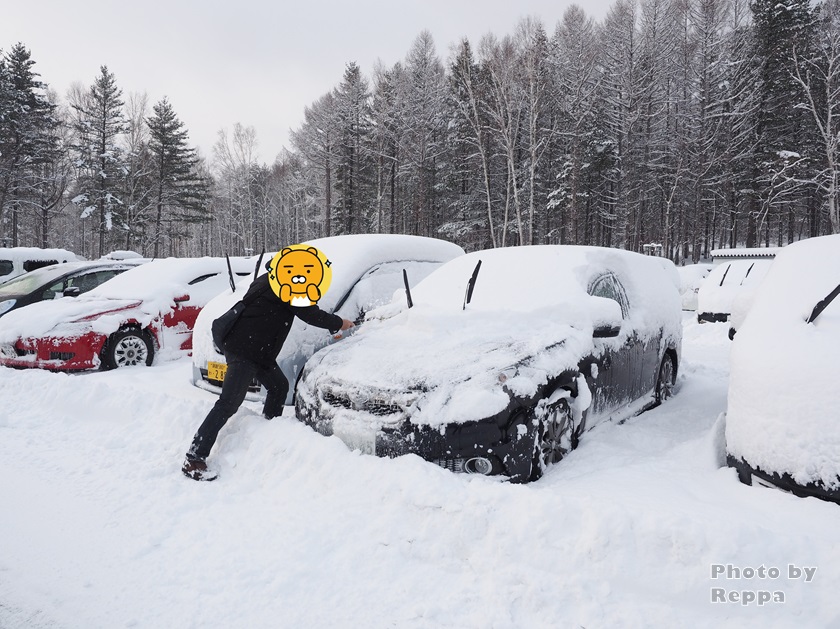 f:id:Reppa:20220113151359j:plain