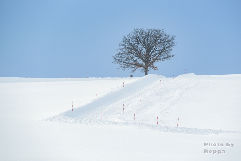 f:id:Reppa:20220113162323j:plain