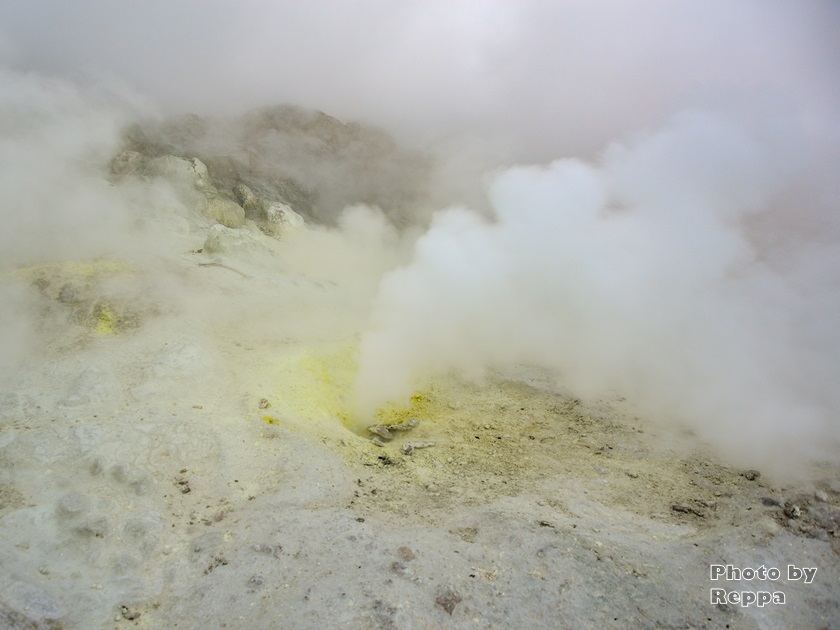 f:id:Reppa:20220114160206j:plain