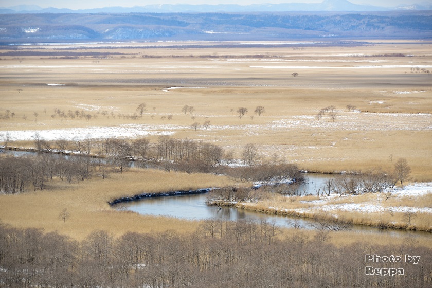 f:id:Reppa:20220114202641j:plain