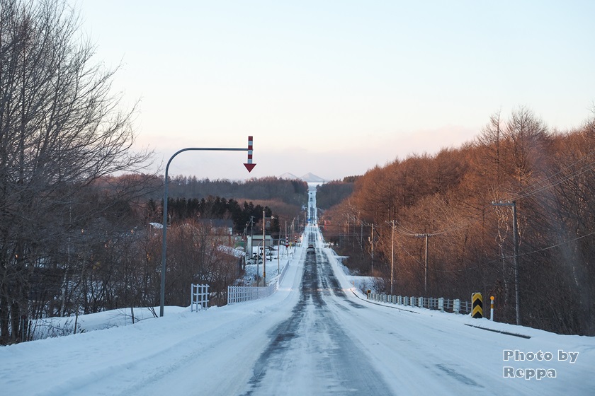 f:id:Reppa:20220114220151j:plain