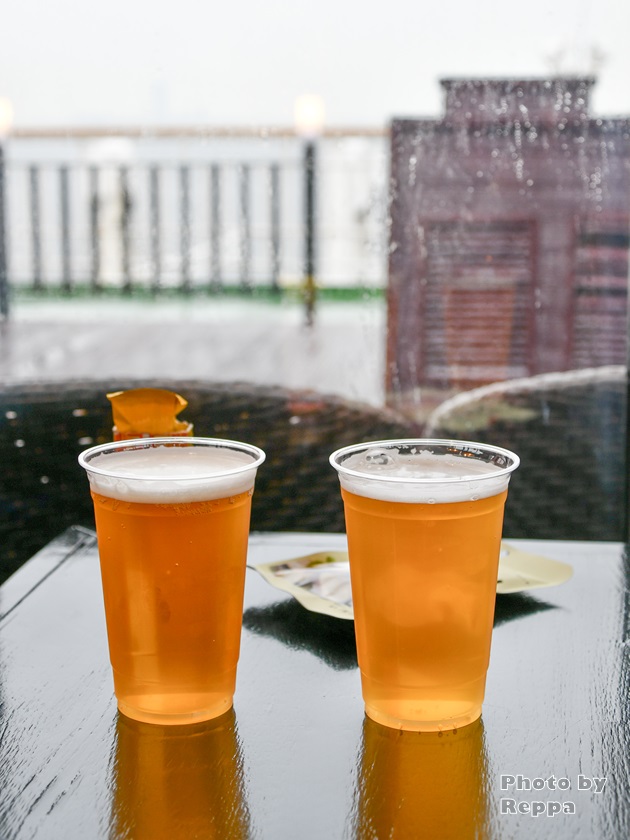 f:id:Reppa:20220118160903j:plain