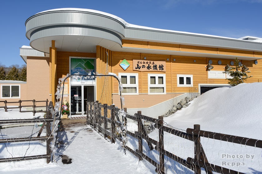 f:id:Reppa:20220120213751j:plain