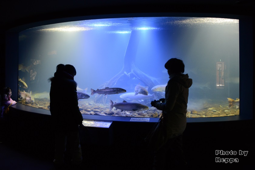 f:id:Reppa:20220120213849j:plain